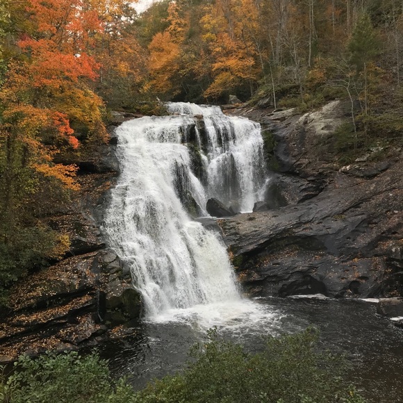 ***Meet Your Posher*** - Picture 3 of 6